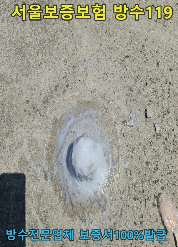 20260906194951_05b01363.webp