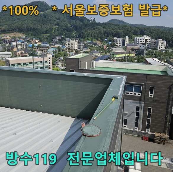 20260907111753_8b9c6a93.webp