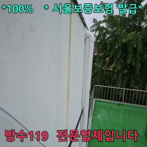20260907114656_09bdf183.webp