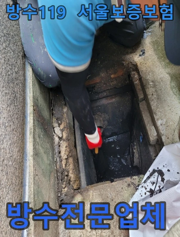 20260907114656_f817773d.webp