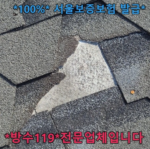 20260908130958_fd3902eb.webp