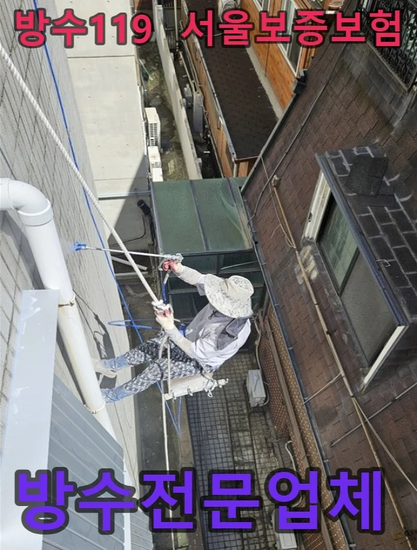 20260908131828_66bc5291.webp