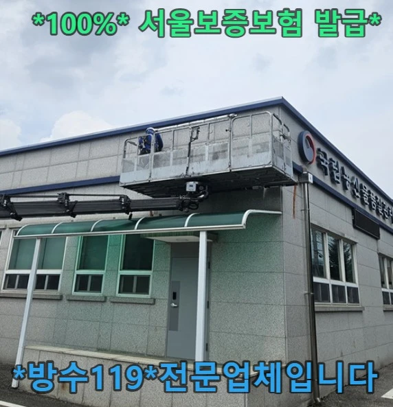 20260908134633_40af876d.webp