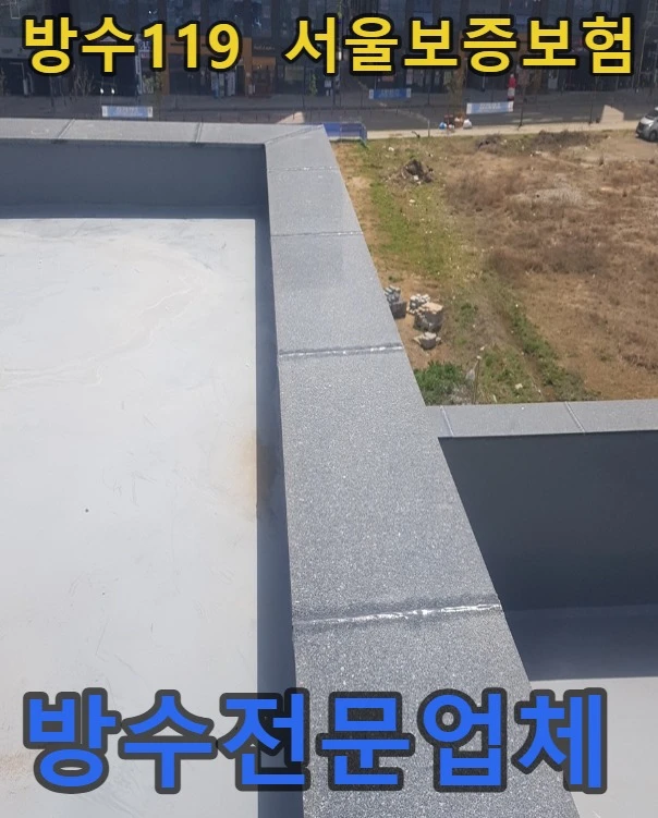 20260908135659_ff71f84f.webp