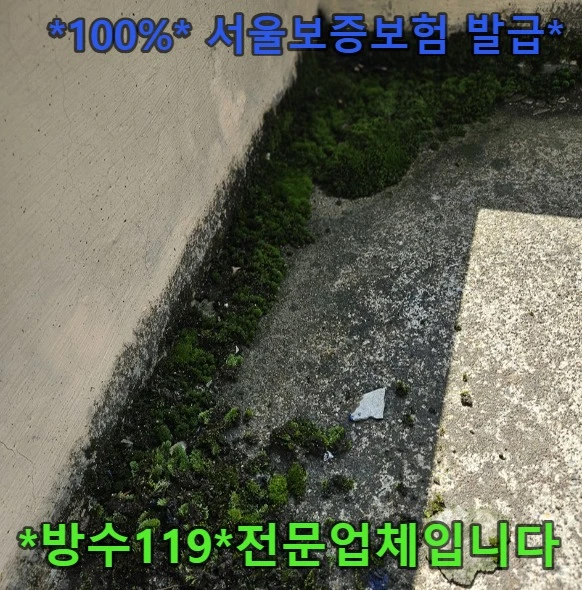 20260913180852_3400c241.webp