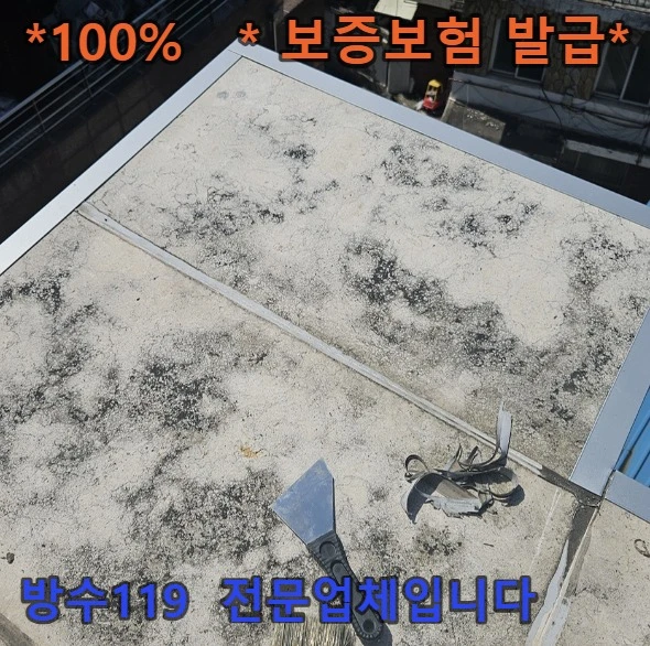 20260919213041_cd82c551.webp