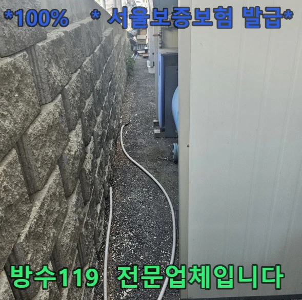 20260919214315_6703c5c0.webp