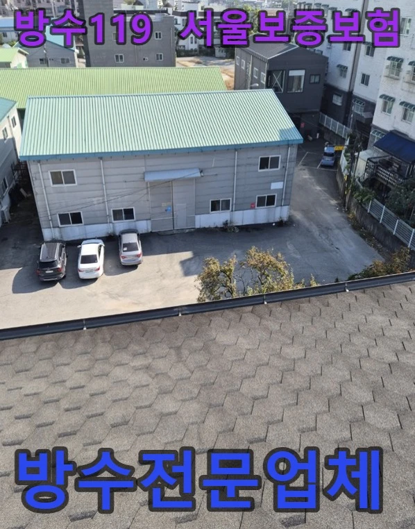 20260919214316_fe7c4c43.webp
