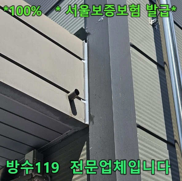 20260919215026_9e70eed9.webp