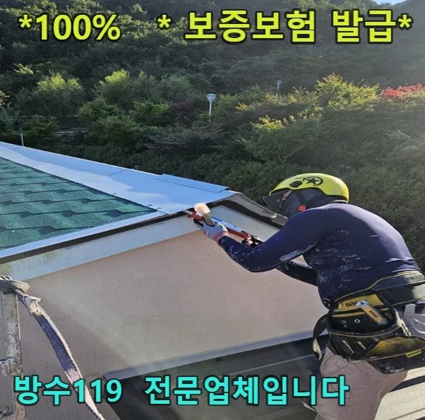 20260919215203_5dc3a692.webp
