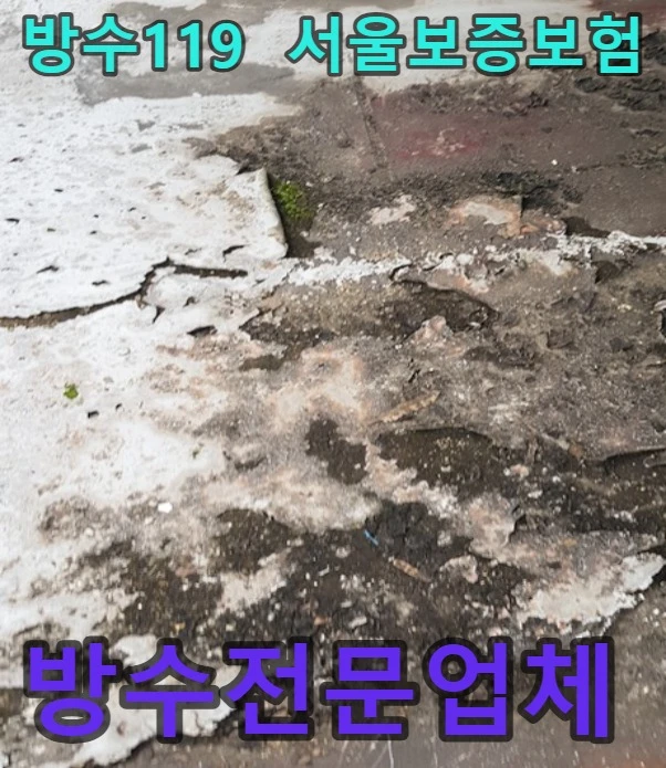 20260919215628_b02eb771.webp