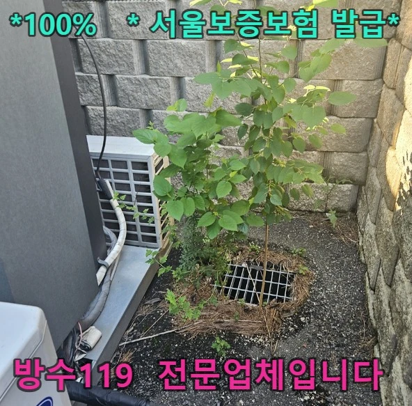 20260919221615_dac5bfcc.webp