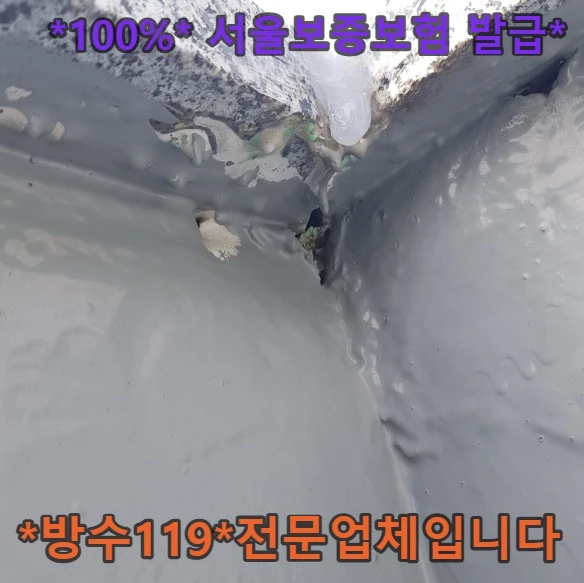 20260919222202_345226e5.webp