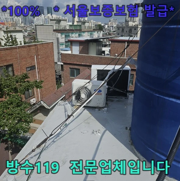 20260921211958_91c95a43.webp