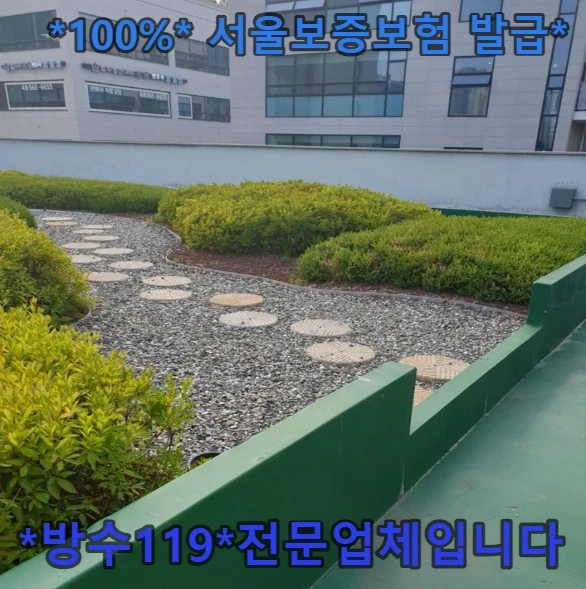 20260921212128_1bc7cfe3.webp