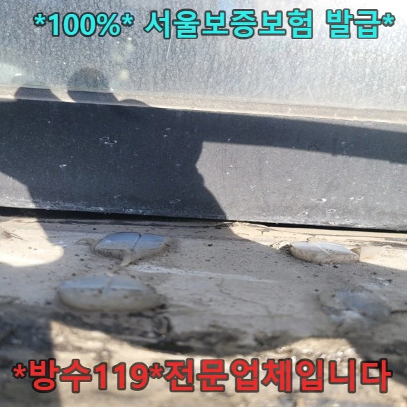 20260921212529_7c2db0ab.webp