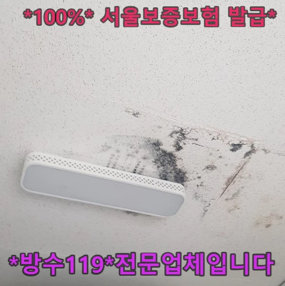 20260924161406_a8cedcc1.webp