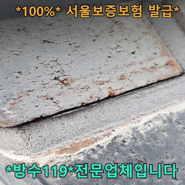 20260924165642_a5c8b602.webp