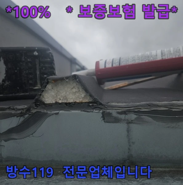 20261004192235_9e9409c8.webp