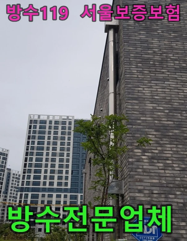 20261004192508_bd4f8ad9.webp