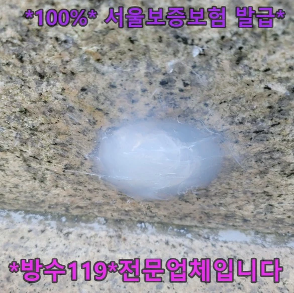20261004193139_b416c2d1.webp